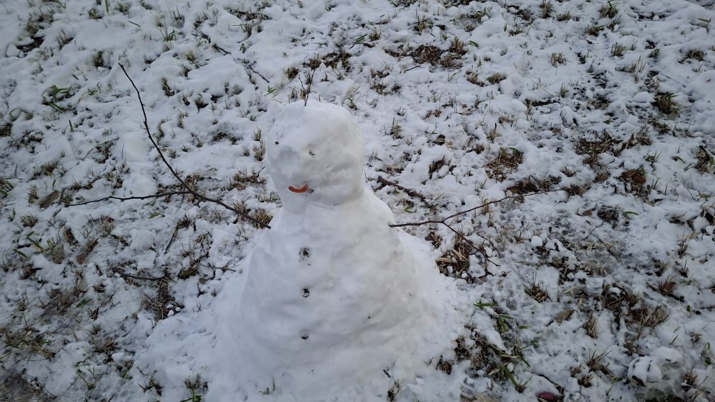 20260209 062418 1024x576 - 【リノベーション】施工ギャラリーを更新いたしました！