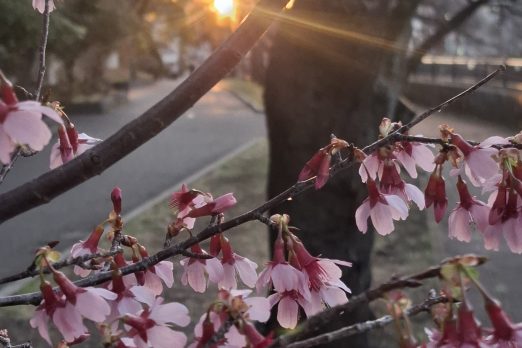 2026 522x348 - 【日常】3月11日、あの日を忘れないためにも…